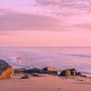 دانلود آهنگ اشرب حشیش لو یوم متکلمنیش از سامر المدنی